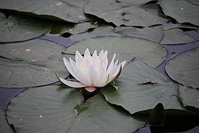 传PS6的SoC设计已经完成 有望在2027年正式发售